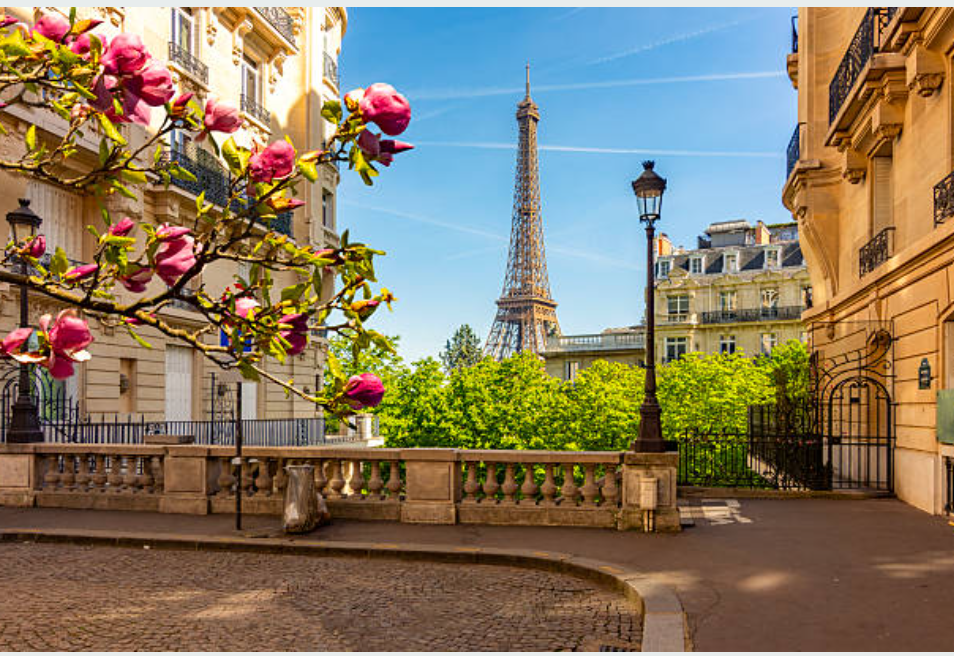 Training courses location: Paris