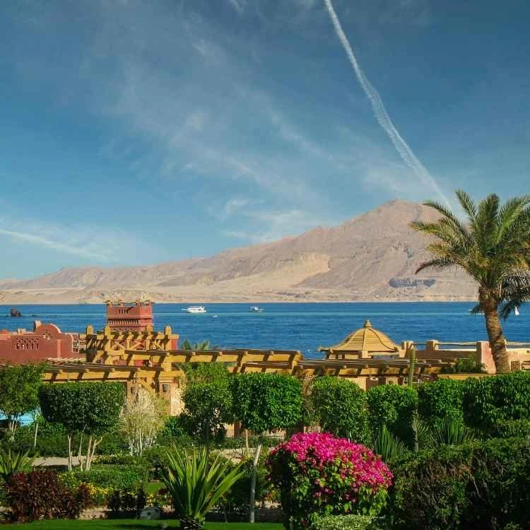 Training courses location: Sharm El-Sheikh