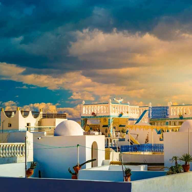 Training courses location: Tunisia